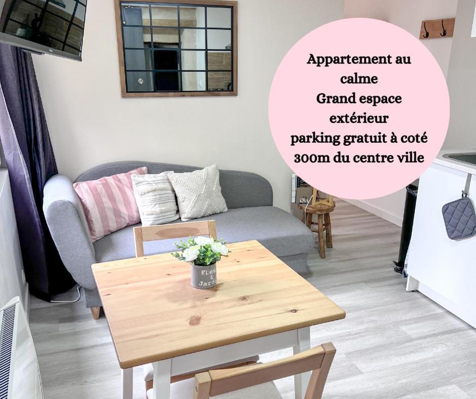 Le Badebec, Appt Dans Maison Typique Avec Jardin Prive Chinon Exteriér fotografie